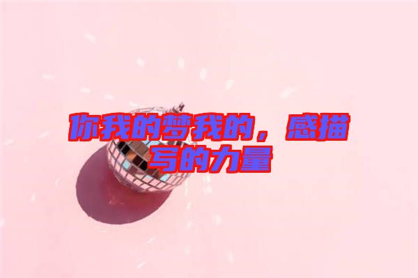 你我的夢(mèng)我的，感描寫的力量