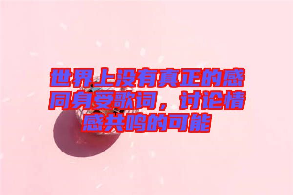 世界上沒有真正的感同身受歌詞，討論情感共鳴的可能