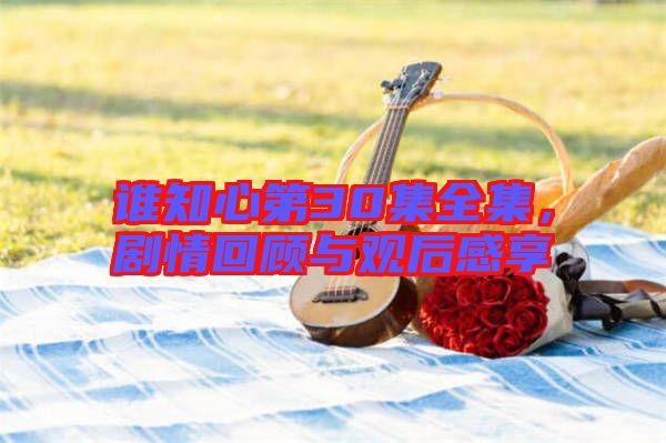 誰知心第30集全集，劇情回顧與觀后感享