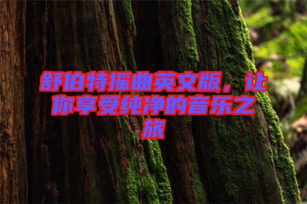 舒伯特搖曲英文版，讓你享受純凈的音樂之旅
