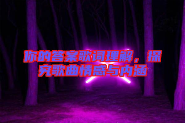 你的答案歌詞理解，探究歌曲情感與內(nèi)涵
