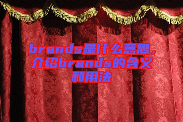 brands是什么意思，介紹brands的含義和用法