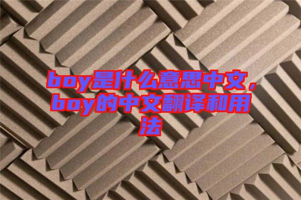 boy是什么意思中文，boy的中文翻譯和用法