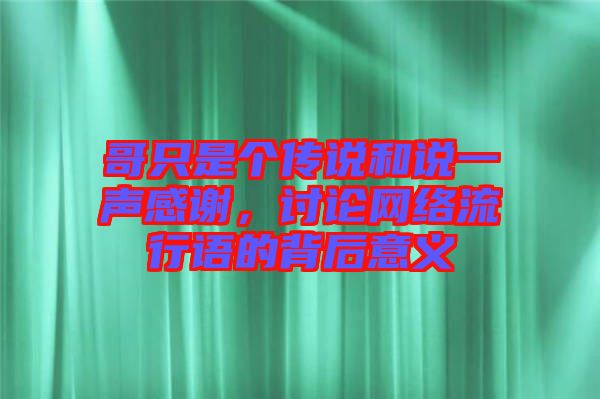 哥只是個傳說和說一聲感謝，討論網(wǎng)絡(luò)流行語的背后意義