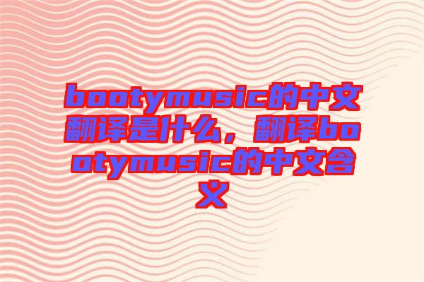 bootymusic的中文翻譯是什么，翻譯bootymusic的中文含義