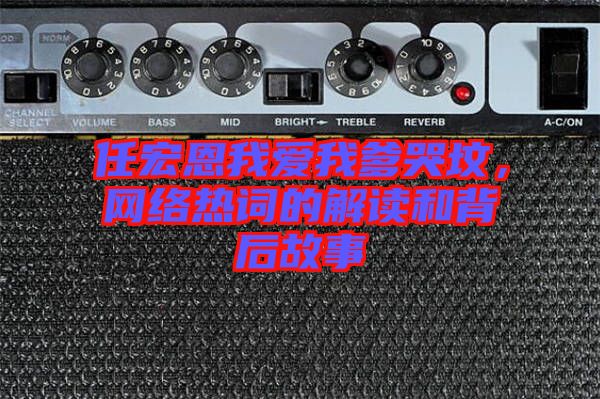 任宏恩我愛我爹哭墳，網(wǎng)絡(luò)熱詞的解讀和背后故事