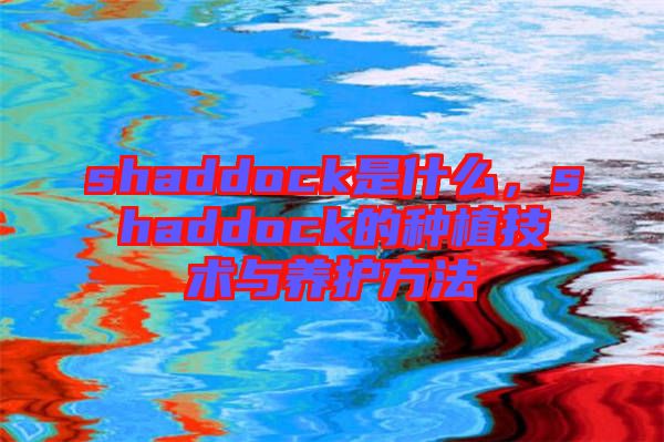 shaddock是什么，shaddock的種植技術與養(yǎng)護方法