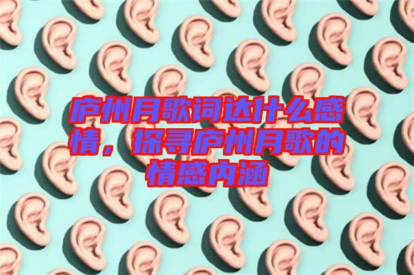 廬州月歌詞達(dá)什么感情，探尋廬州月歌的情感內(nèi)涵