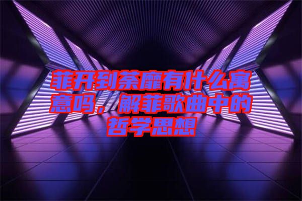 菲開到荼靡有什么寓意嗎，解菲歌曲中的哲學(xué)思想
