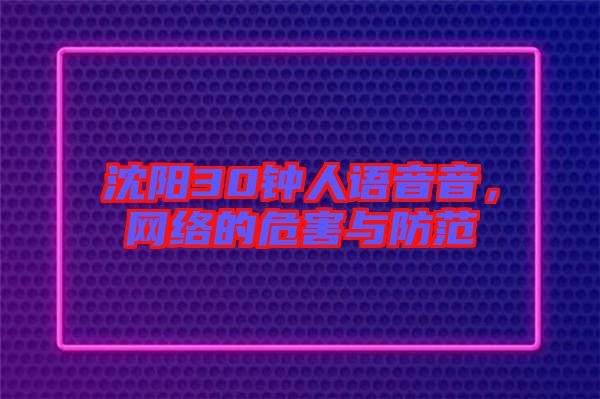 沈陽30鐘人語音音，網(wǎng)絡(luò)的危害與防范