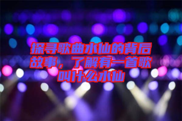 探尋歌曲水仙的背后故事，了解有一首歌叫什么水仙