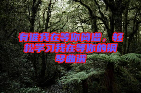 有誰我在等你簡譜，輕松學(xué)習(xí)我在等你的鋼琴曲譜
