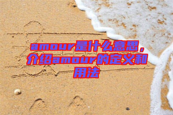 amour是什么意思，介紹amour的定義和用法