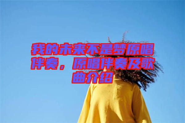 我的未來不是夢(mèng)原唱伴奏，原唱伴奏及歌曲介紹