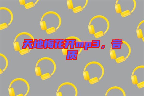 天地梅花開mp3，音質(zhì)