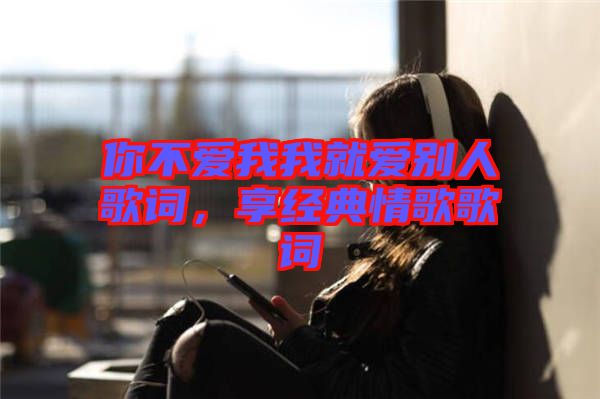 你不愛我我就愛別人歌詞，享經(jīng)典情歌歌詞