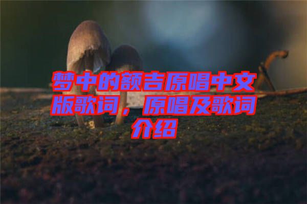 夢(mèng)中的額吉原唱中文版歌詞，原唱及歌詞介紹