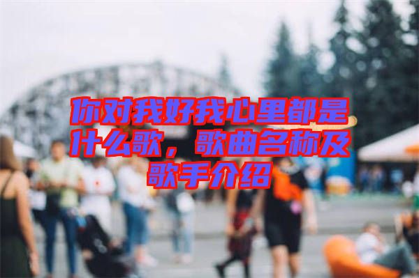 你對我好我心里都是什么歌，歌曲名稱及歌手介紹