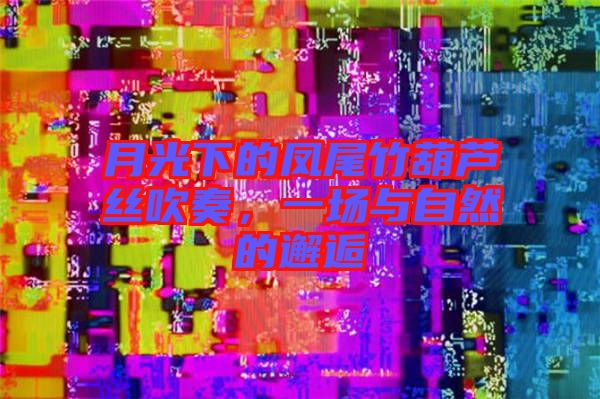 月光下的鳳尾竹葫蘆絲吹奏，一場與自然的邂逅