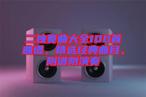 二獨(dú)奏曲大全100首曲譜，精選經(jīng)典曲目，附譜附演奏