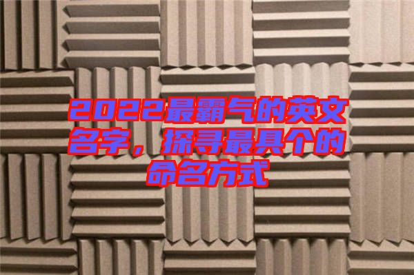 2022最霸氣的英文名字，探尋最具個(gè)的命名方式