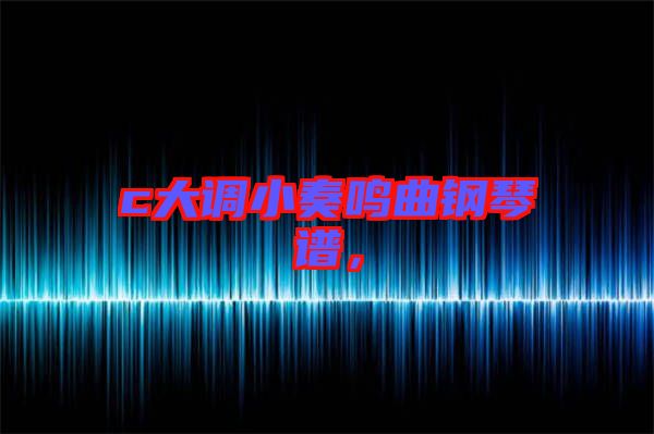 c大調(diào)小奏鳴曲鋼琴譜，