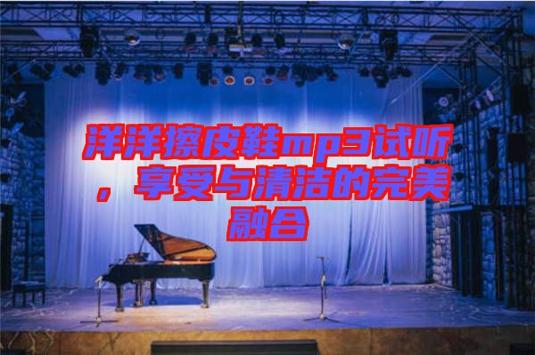 洋洋擦皮鞋mp3試聽，享受與清潔的完美融合