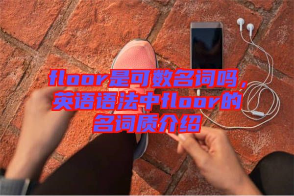 floor是可數(shù)名詞嗎，英語語法中floor的名詞質(zhì)介紹