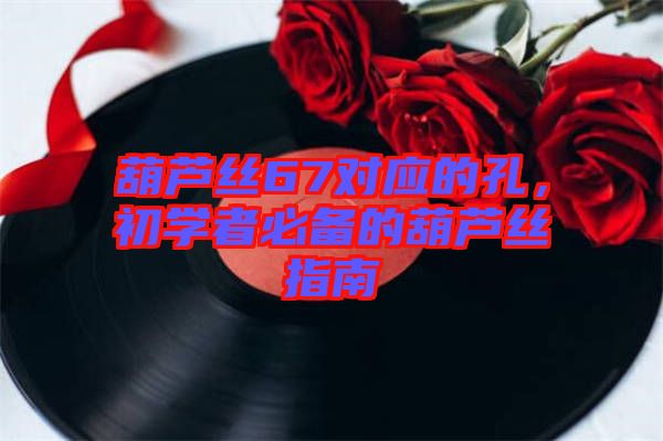葫蘆絲67對(duì)應(yīng)的孔，初學(xué)者必備的葫蘆絲指南
