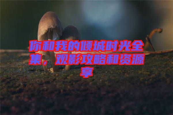 你和我的傾城時(shí)光全集，觀影攻略和資源享