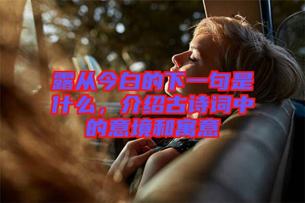 露從今白的下一句是什么，介紹古詩詞中的意境和寓意