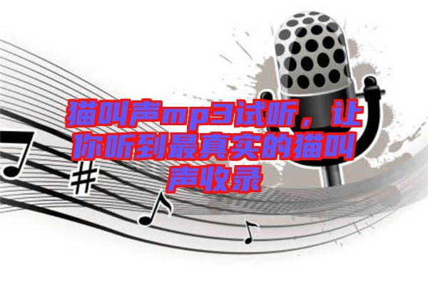 貓叫聲mp3試聽，讓你聽到最真實的貓叫聲收錄