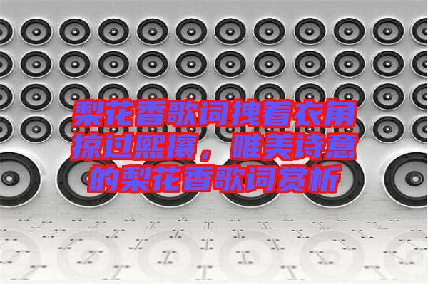 梨花香歌詞拽著衣角掠過熙攘，唯美詩意的梨花香歌詞賞析