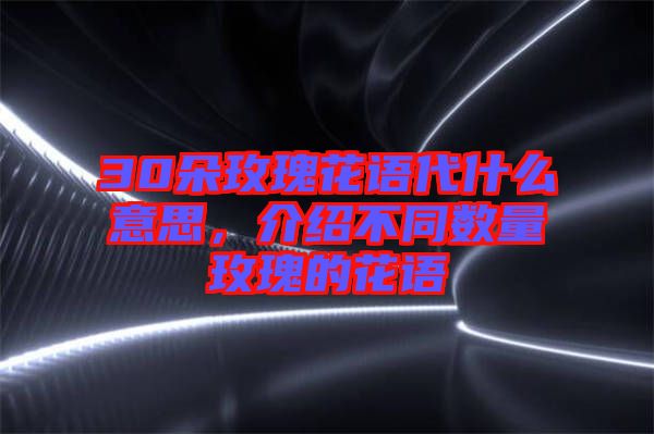 30朵玫瑰花語代什么意思，介紹不同數(shù)量玫瑰的花語