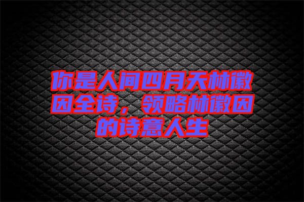 你是人間四月天林徽因全詩，領(lǐng)略林徽因的詩意人生