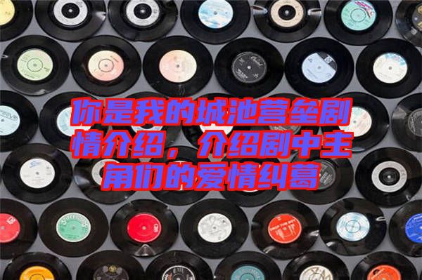 你是我的城池營壘劇情介紹，介紹劇中主角們的愛情糾葛