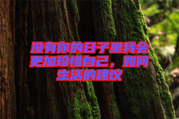 沒有你的日子里我會更加珍惜自己，如何生活的建議