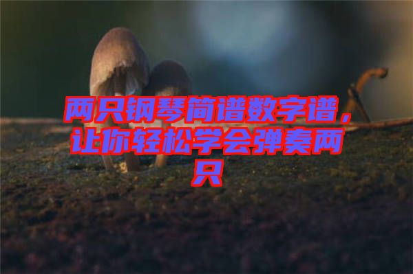 兩只鋼琴簡譜數(shù)字譜，讓你輕松學(xué)會(huì)彈奏兩只