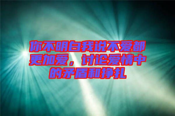 你不明白我說不愛都更加愛，討論愛情中的矛盾和掙扎