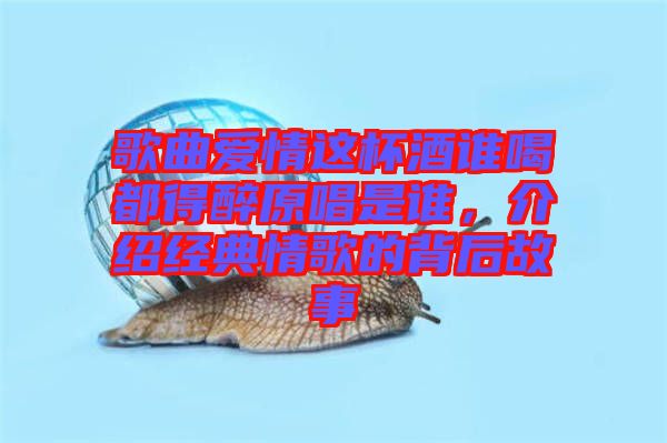 歌曲愛情這杯酒誰喝都得醉原唱是誰，介紹經典情歌的背后故事