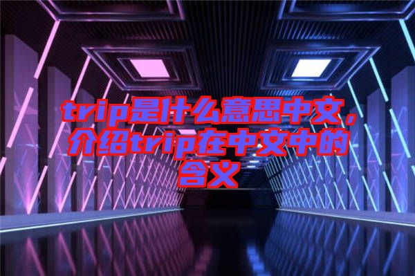 trip是什么意思中文，介紹trip在中文中的含義