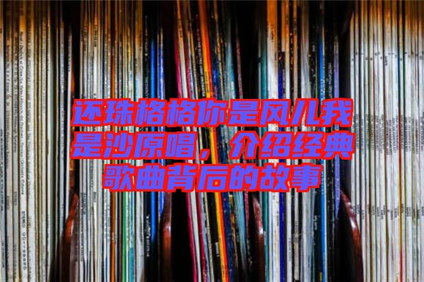 還珠格格你是風(fēng)兒我是沙原唱，介紹經(jīng)典歌曲背后的故事
