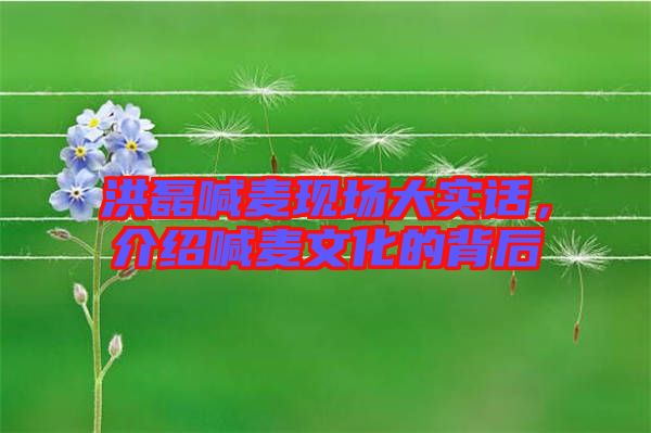 洪磊喊麥現(xiàn)場(chǎng)大實(shí)話，介紹喊麥文化的背后
