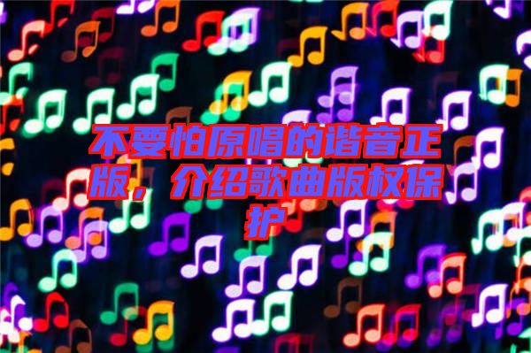 不要怕原唱的諧音正版，介紹歌曲版權保護