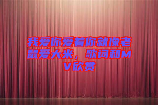 我愛你愛著你就像老鼠愛大米，歌詞和MV欣賞