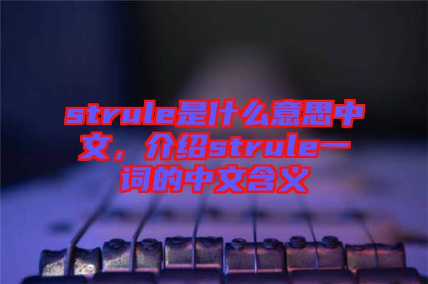 strule是什么意思中文，介紹strule一詞的中文含義