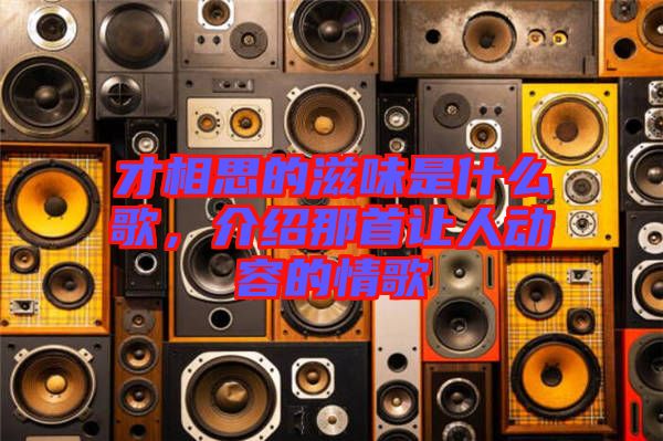 才相思的滋味是什么歌，介紹那首讓人動(dòng)容的情歌
