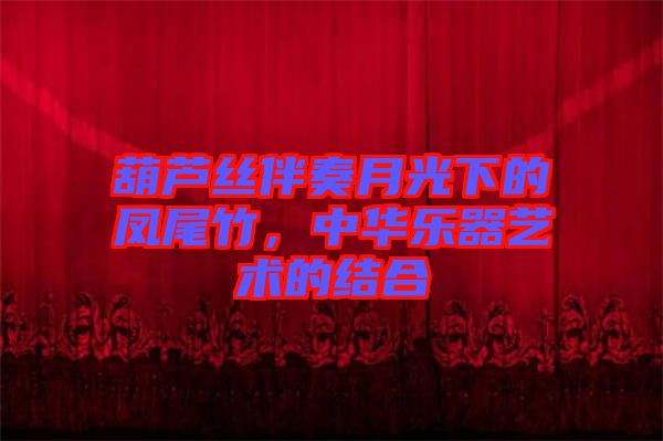 葫蘆絲伴奏月光下的鳳尾竹，中華樂器藝術(shù)的結(jié)合