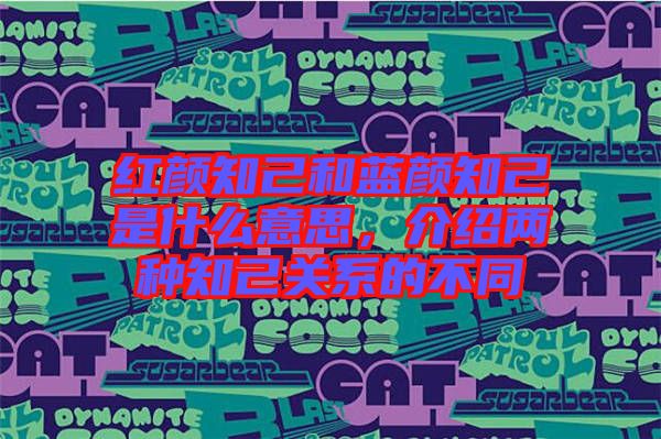 紅顏知己和藍(lán)顏知己是什么意思，介紹兩種知己關(guān)系的不同