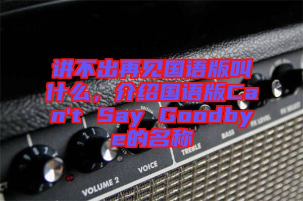 講不出再見國語版叫什么，介紹國語版Can't Say Goodbye的名稱